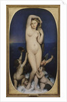 Venus Anadyomene by Jean Auguste Dominique Ingres