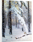 Winter Forest by Konstantin Yakovlevich Kryzhitsky