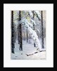 Winter Forest by Konstantin Yakovlevich Kryzhitsky