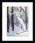 Winter Forest by Konstantin Yakovlevich Kryzhitsky