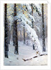 Winter Forest by Konstantin Yakovlevich Kryzhitsky