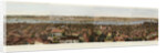 Panorama of Constantinople by Henry Aston Barker