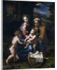 The Holy Family with John the Baptist and Saint Elizabeth (La Perla) by Raphael