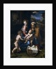 The Holy Family with John the Baptist and Saint Elizabeth (La Perla) by Raphael