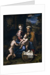 The Holy Family with John the Baptist and Saint Elizabeth (La Perla) by Raphael