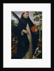 Saint Dominic by Ambrosius Benson