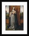 Virgin and child by Jan Provost