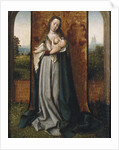 Virgin and child by Jan Provost