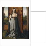 Virgin and child by Jan Provost