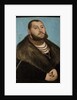 John Frederick I, Elector of Saxony by Lucas Cranach the Elder