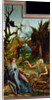 The Isenheim Altarpiece. Left wing: Meeting of Saint Anthony and Saint Paul the Anchorite in the Des by Matthias Grünewald