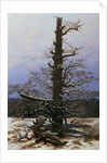 Oak Tree in the Snow by Caspar David Friedrich