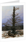 Oak Tree in the Snow by Caspar David Friedrich