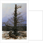 Oak Tree in the Snow by Caspar David Friedrich