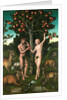 Adam and Eve by Lucas Cranach the Elder