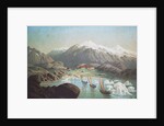 The second German northpolar expedition to the Arctic and Greenland in 1869 by Anonymous
