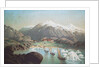 The second German northpolar expedition to the Arctic and Greenland in 1869 by Anonymous