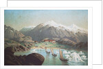 The second German northpolar expedition to the Arctic and Greenland in 1869 by Anonymous
