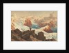 The second German northpolar expedition to the Arctic and Greenland in 1869 by Anonymous