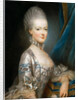 Portrait of Archduchess Maria Antonia of Austria, the later Queen Marie Antoinette of Fr by Joseph Ducreux