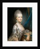 Portrait of Archduchess Maria Antonia of Austria, the later Queen Marie Antoinette of Fr by Joseph Ducreux