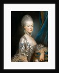 Portrait of Archduchess Maria Antonia of Austria, the later Queen Marie Antoinette of Fr by Joseph Ducreux