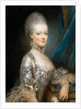 Portrait of Archduchess Maria Antonia of Austria, the later Queen Marie Antoinette of Fr by Joseph Ducreux