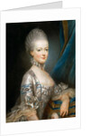 Portrait of Archduchess Maria Antonia of Austria, the later Queen Marie Antoinette of Fr by Joseph Ducreux