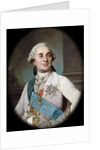 Portrait of the King Louis XVI by Joseph-Siffred Duplessis