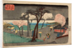 Cherry Trees in Rain on the Sumida River Embankment. (Sumida zutsumi uchû no sakura) by Utagawa Hiroshige