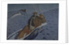 The Rape of Europa by Valentin Alexandrovich Serov