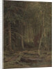 Backwoods by Ivan Ivanovich Shishkin