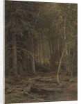 Backwoods by Ivan Ivanovich Shishkin