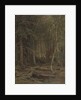 Backwoods by Ivan Ivanovich Shishkin