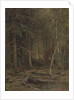 Backwoods by Ivan Ivanovich Shishkin