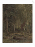 Backwoods by Ivan Ivanovich Shishkin