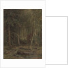 Backwoods by Ivan Ivanovich Shishkin