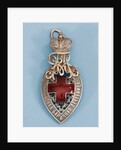 Badge of honour of the Mariinsky Hospital by decorations and medals Orders