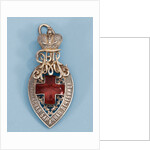 Badge of honour of the Mariinsky Hospital by decorations and medals Orders
