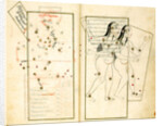 The Constellation Gemini by Iranian master