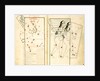 The Constellation Gemini by Iranian master