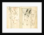 The Constellation Gemini by Iranian master