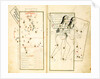 The Constellation Gemini by Iranian master