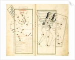 The Constellation Gemini by Iranian master