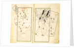 The Constellation Gemini by Iranian master