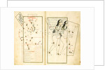 The Constellation Gemini by Iranian master