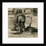 Peasant Woman Planting Potatoes by Vincent van Gogh