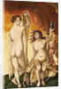 Two Witches by Hans Baldung