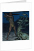 Hercules and Hydra by Franz Ritter von Stuck