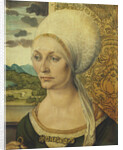 Portrait of Elsbeth Tucher by Albrecht Dürer
